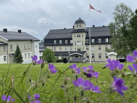Sommerbilde Landåsen Sommerbilde Landåsen