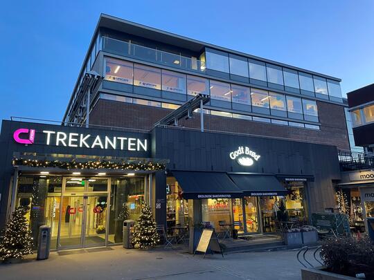 Trekantens fasade jul